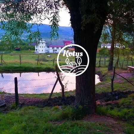 Casa Kotys Apartamento Albestii Paminteni Exterior foto
