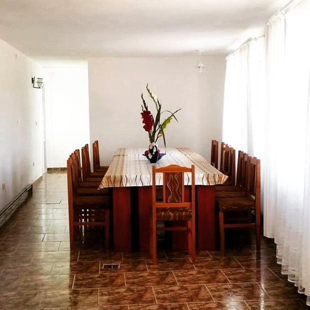 Casa Kotys Apartamento Albestii Paminteni Exterior foto