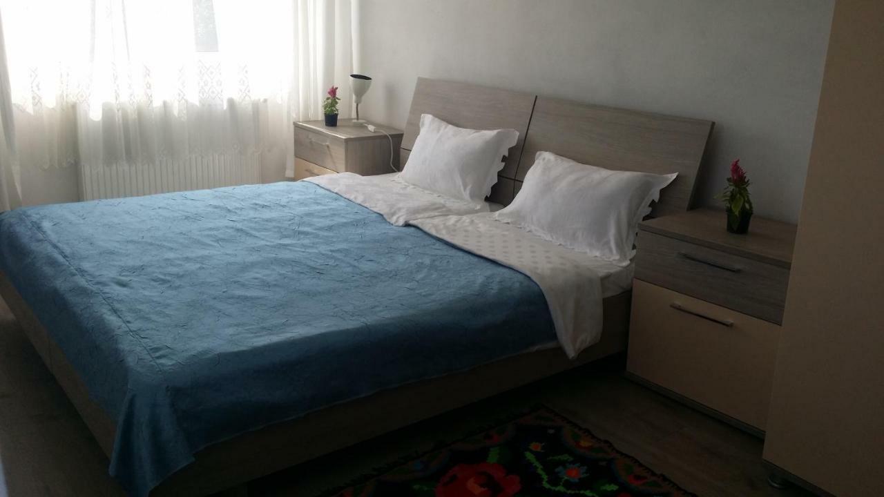Casa Kotys Apartamento Albestii Paminteni Exterior foto