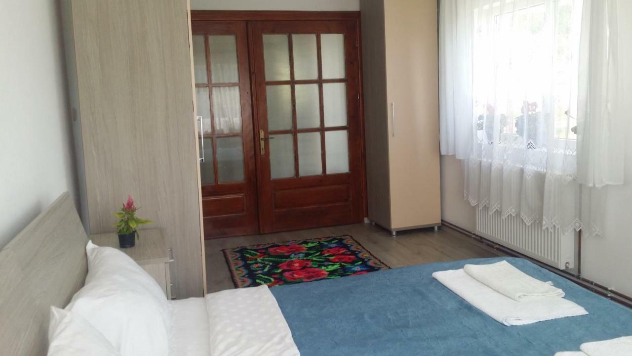 Casa Kotys Apartamento Albestii Paminteni Exterior foto